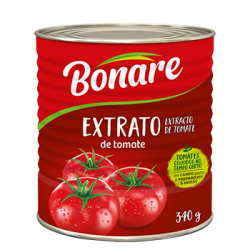 extrato-de-tomate2-340g