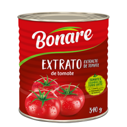 extrato-de-tomate2-340g extrato-de-tomate2-340g